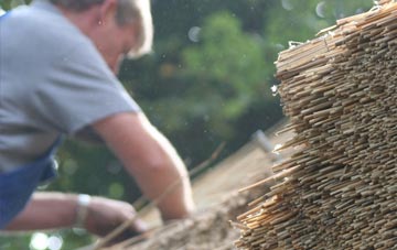 professional Fullerton thatchers